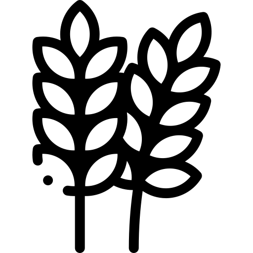 Grains Icon